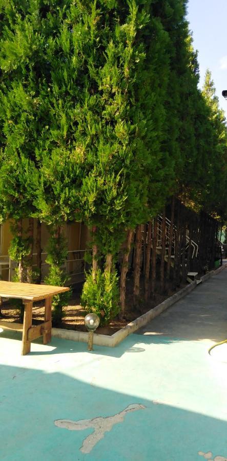 Вили Бийчхаус Kranevo Εξωτερικό φωτογραφία